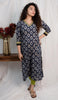 Designer Kurthi(Code-1562 BK)